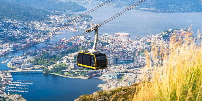 stavanger-ulriken-mountain-and-bergen-aquarium-guided-tour
