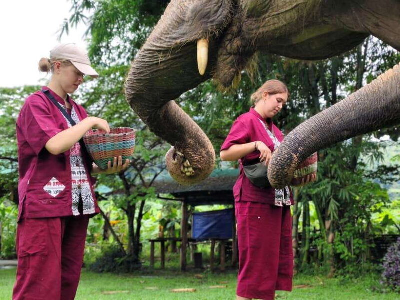 sticky-waterfalls-elephants-bamboo-or-white-water-rafting