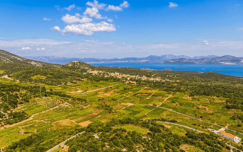 ston-peljesac-and-korcula-winetasting-tour
