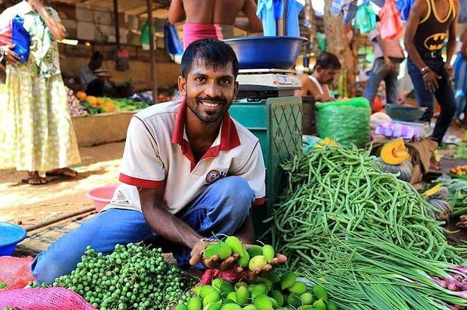 STREET Food with private city tour Colombo ( all - included ) - Quick Intro: What to Expect from This Colombo Experience