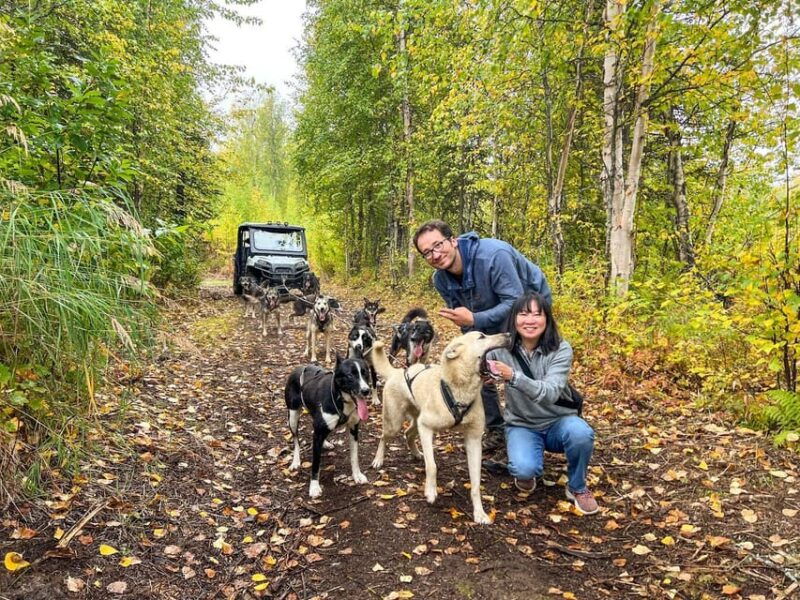 summer-dog-sled-ride-and-kennel-tour-2