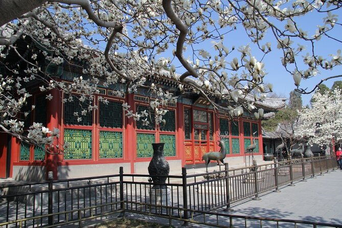 Summer Palace+Ming Tombs/Heaven Temple/China National Museum Tour - Key Points