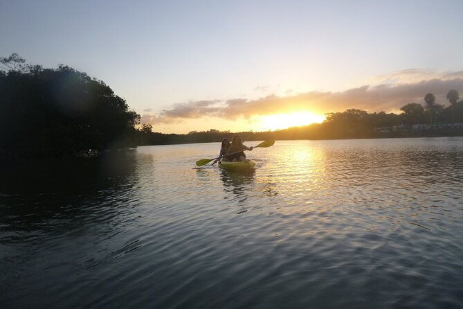 Sunrise Brunswick River Kayak Activity - The Magic of Dawn on Brunswick River