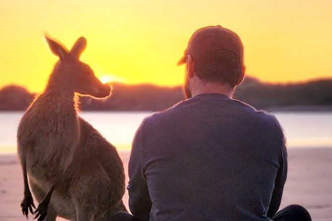 Sunrise with the kangaroos and wallabies - The Journey Begins: Early Pickup and Scenic Drive