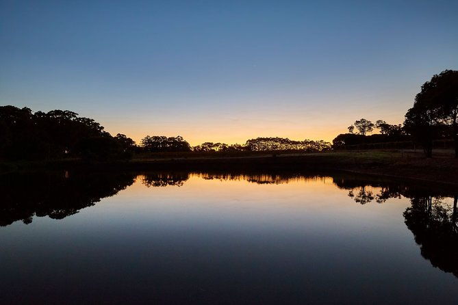 Sunset Wine Tasting Experience at Passel Estate - A Closer Look at the Sunset Wine Tasting at Passel Estate