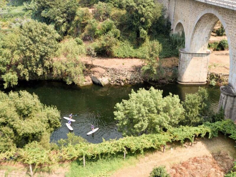 sup-tour-explore-portos-surroundings-on-a-sup-board