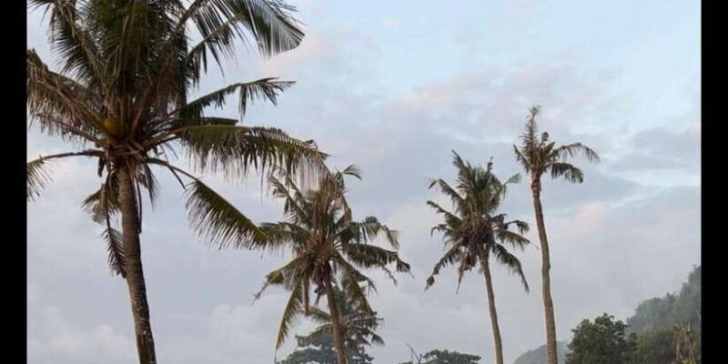 surfa-bali-curated-surf-lesson-trip-to-spots-beg-int