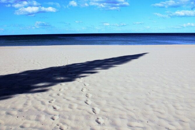 Sydney harbour and ocean beaches, Ku-Ring-Gai National Park - Key Points