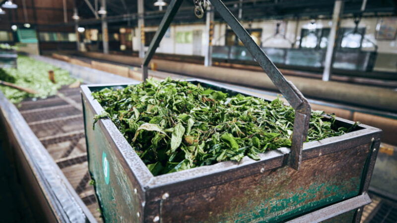 taipei-daxi-old-street-and-tea-factory-xiaowulai-day-tour