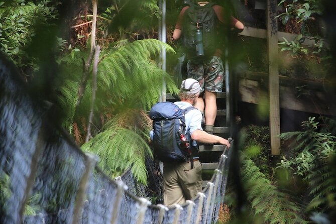 takayna / Tarkine Wilderness Highlights Hiking Tour - 5 Days - Exploring the takayna / Tarkine Wilderness Highlights Hiking Tour – A Deep Dive