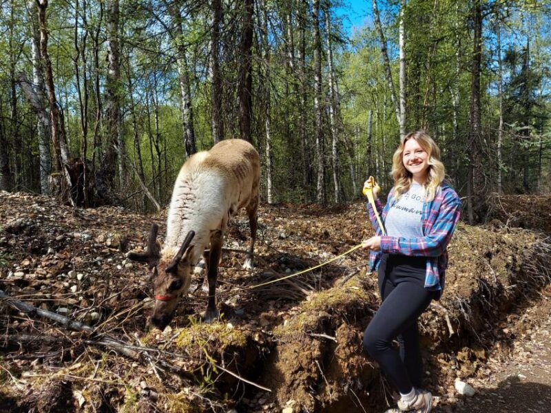 talkeetna-the-reindeer-grove-homestead-tour-and-forage