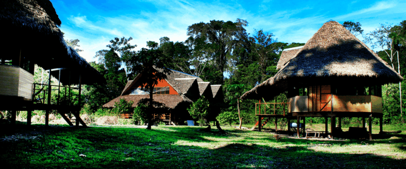 tambopata-macaw-clay-lick-4-days-3-nights-2