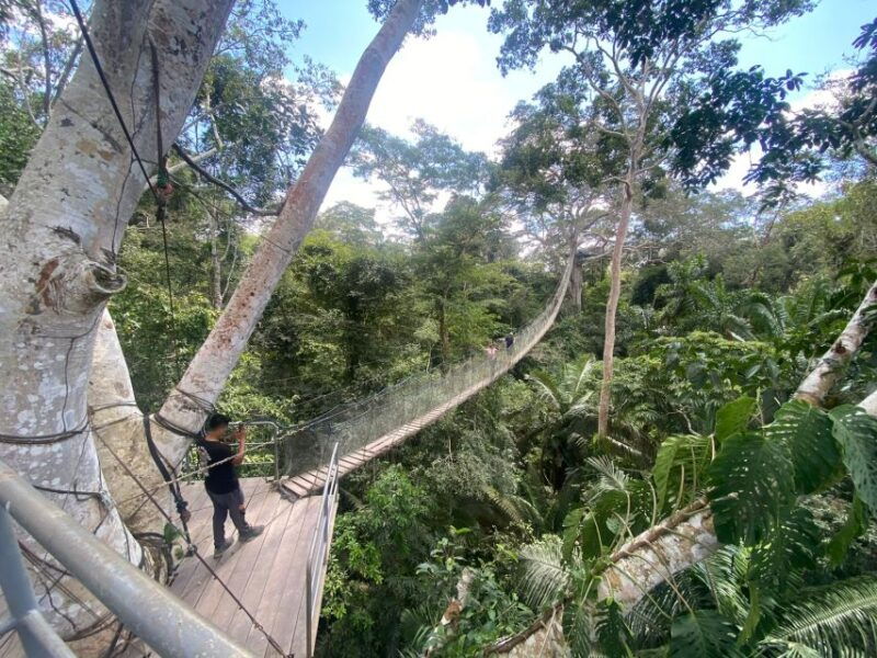 tambopata-zipline-adventure-kayak-to-monkey-island