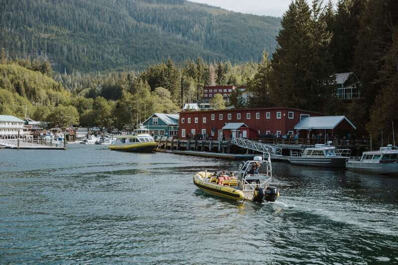 telegraph-cove-3-hour-whale-watching-tour-in-a-zodiac-boat