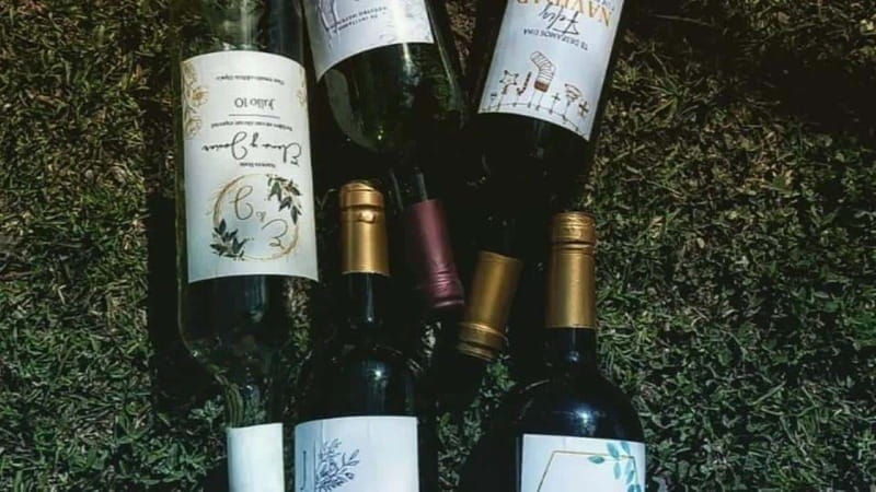 tequisquiapan-utv-adventure-with-winery-and-cheese-tasting