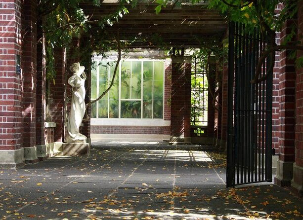 The best of Auckland walking tour - Why Choose This Walking Tour?