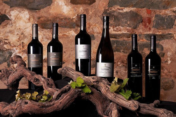 The Chateau Tanunda Everest Experience - Key Points