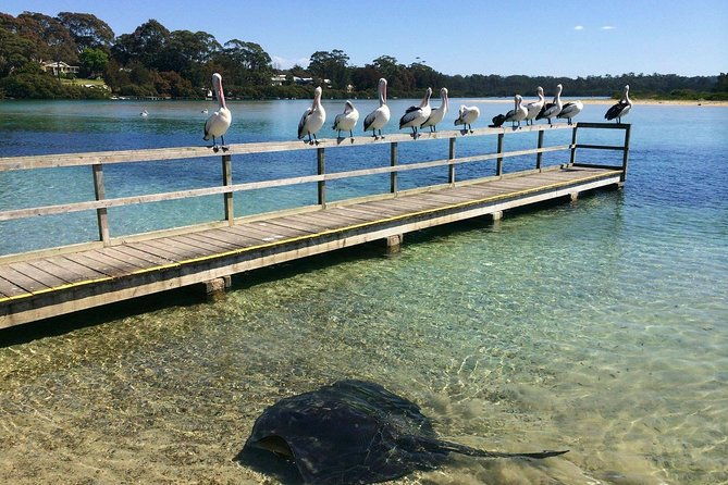 The Eurobodalla Experience (Full day private tour including lunch) - Key Points