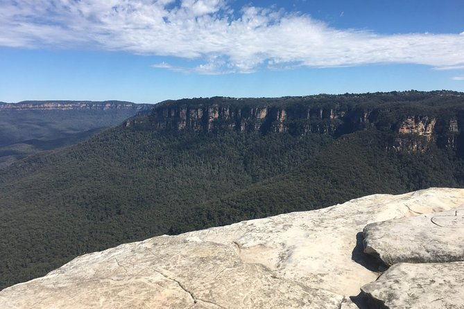 The Explorers' Discovery Small Group Tour - Gold, Wine & Wildlife - Key Points