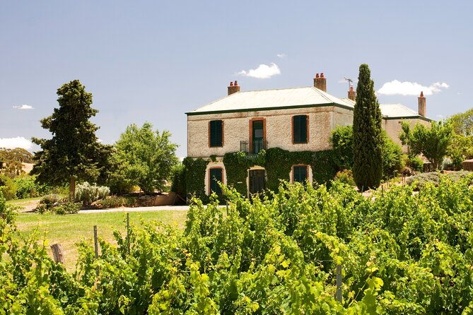 The Florita Wine Tasting Experience - The Florita Wine Tasting Experience: A Deep Dive into South Australias Riesling Treasure
