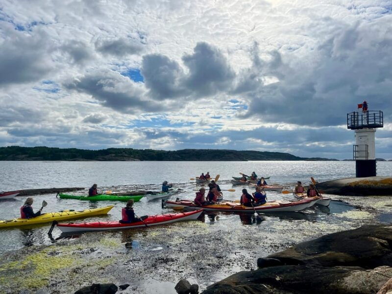 the-lunch-trip-sea-kayak-tour