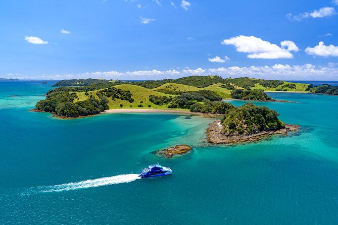 The Original Full day Bay of Islands Cruise with Dolphins - Key Points
