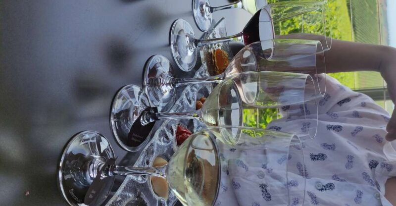 thessaloniki-winery-visit-with-wine-tasting-experience