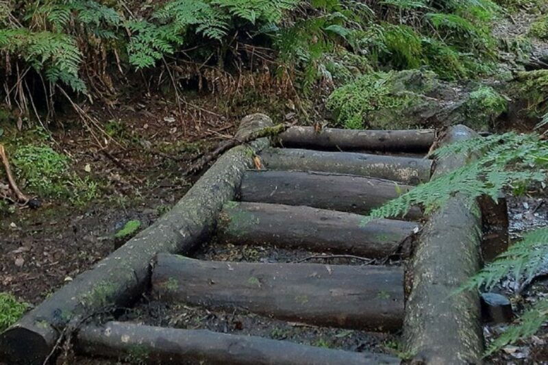 third-island-hiking-trail-black-mysteries
