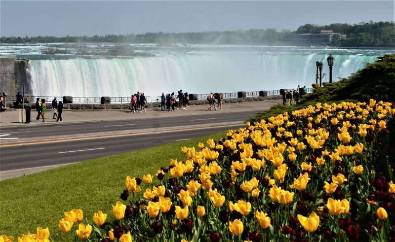 toronto-small-group-niagara-falls-day-trip-2
