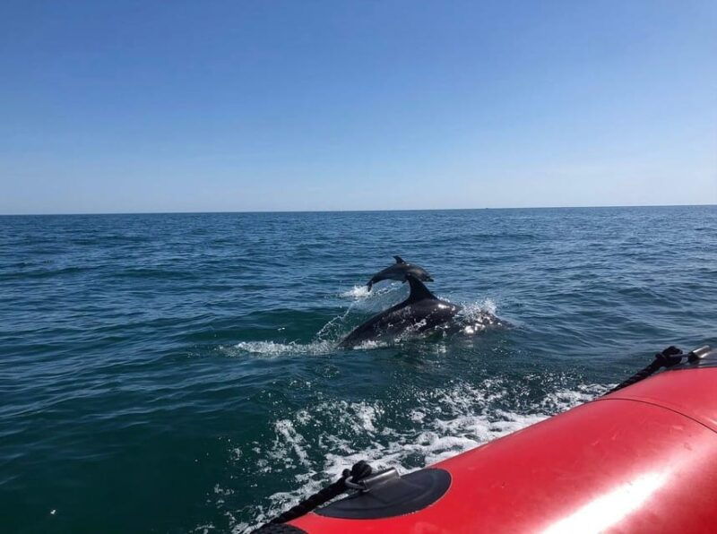 torquay-1-hour-coastal-explorer-boat-trip