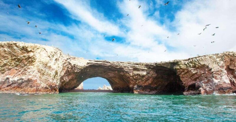 tour-ballestas-islands-and-the-paracas-national-reserve
