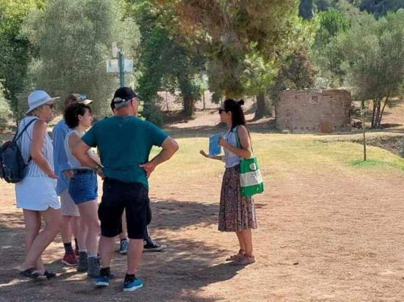 tour-to-the-archaeological-site-of-olympia-by-an-archaeologist-of-italian-descent