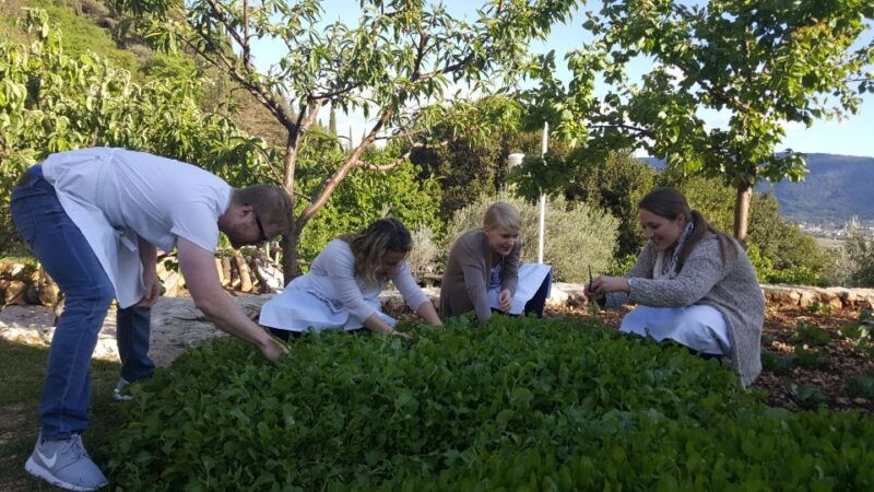 traditional-dalmatian-cooking-class-from-dubrovnik