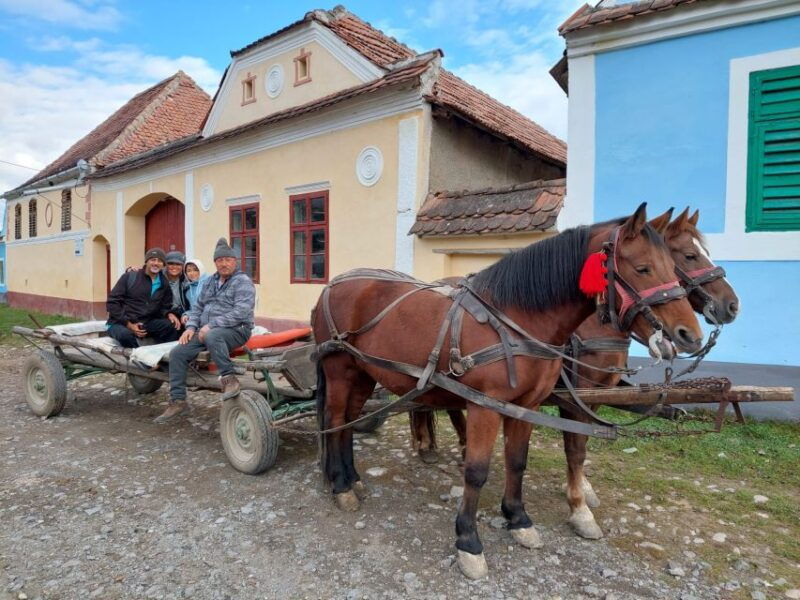 transylvania-gems-sighisoara-medias-biertan-gypsy-life
