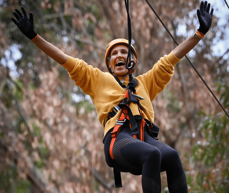 treeclimb-kuitpo-forest-exciting-treetop-climbing-adventure