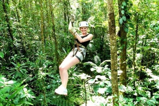 Treetops Zipline Tour with Drop off Transfer to Nadi Airport - Key Points