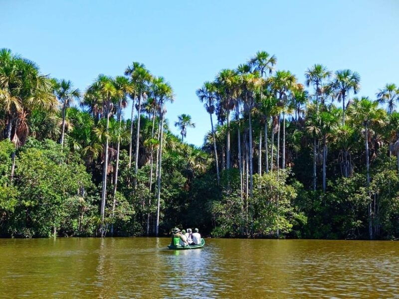 trekking-through-the-jungle-and-lake-sandoval-full-day