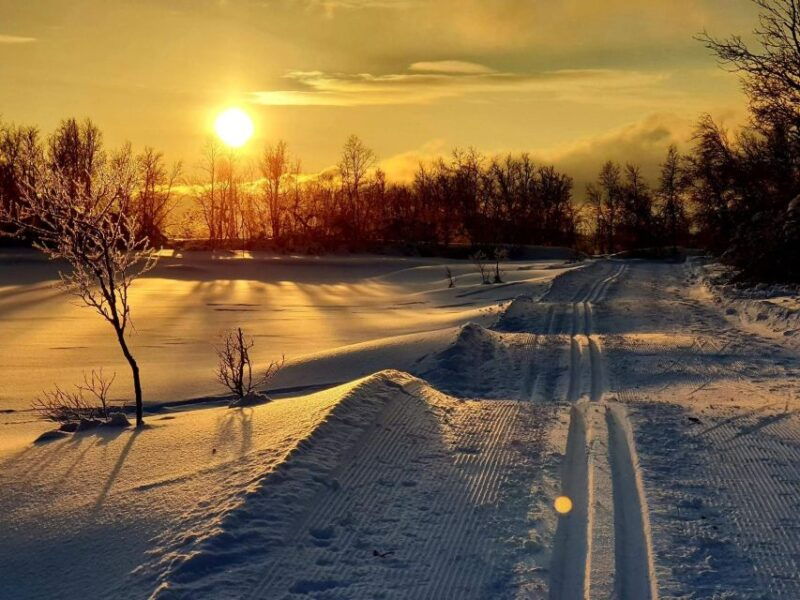tromso-cross-country-guided-skiing-course