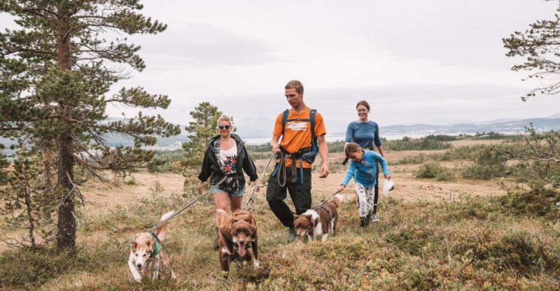 tromso-husky-hike-and-puppy-visit-with-traditional-lunch