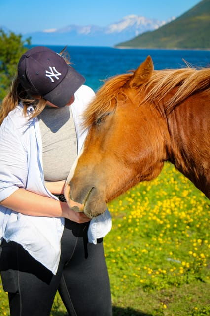 tromso-lyngen-horse-summer-evening-riding-experience