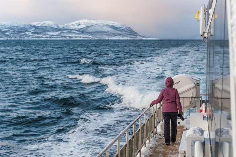 tromso-whale-watching-tour-by-hybrid-electric-catamaran
