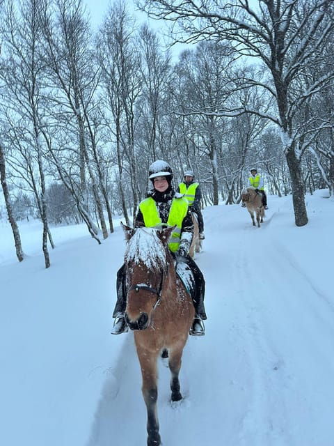 tromso-winter-horseback-riding-tour