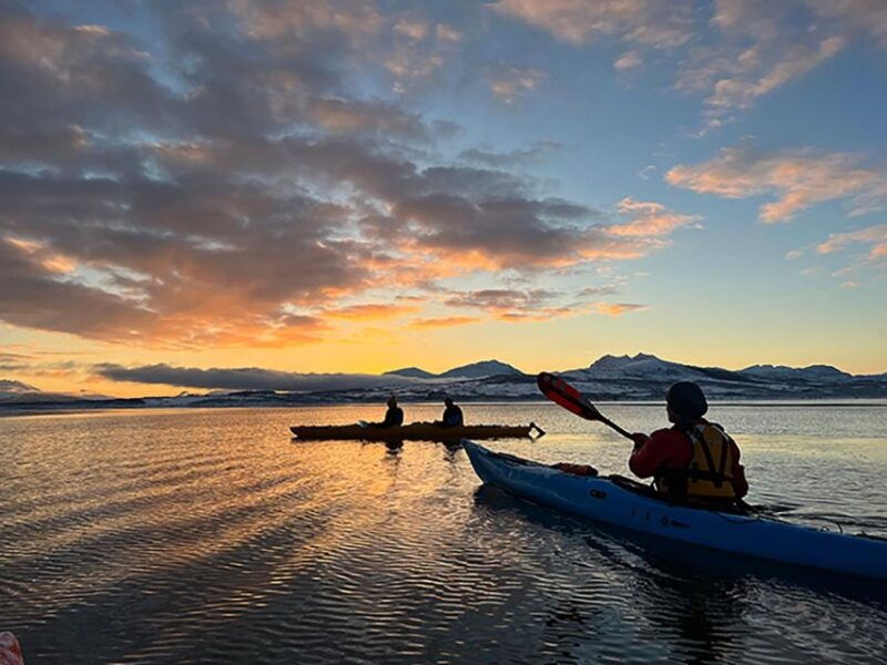 tromso-winter-sea-kayaking-tour-with-wildlife-sightings