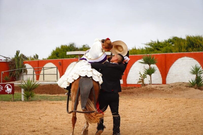 trujillo-show-of-peruvian-paso-horse-marinera-with-lunch