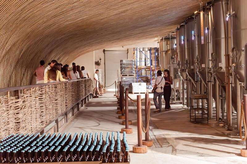 tulum-brewery-tour-and-brews-bites