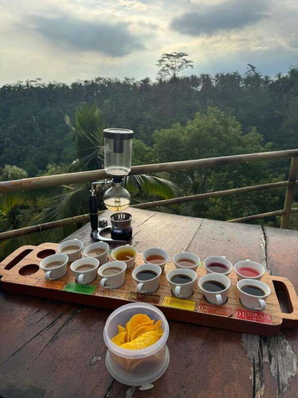 ubud-atv-ride-holy-water-temple-and-coffee-tasting