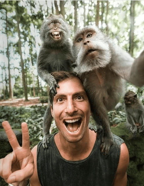 ubud-highlight-nature-wildlife-swing-waterfall