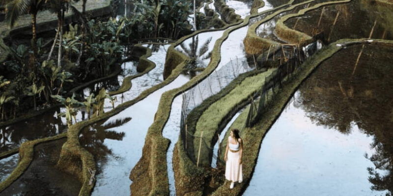 ubud-rice-terrace-holy-water-temple-waterfalls-trek-tour