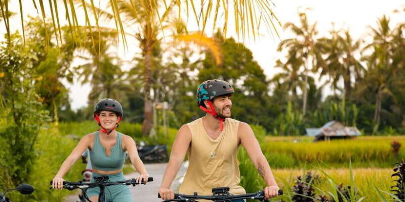 ubud-rice-terrace-villages-e-bike-tour-by-alasan-adventure