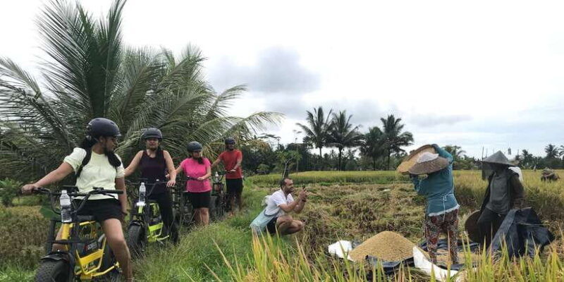 ubud-rice-terraces-villages-half-day-fat-tire-e-bike-tour